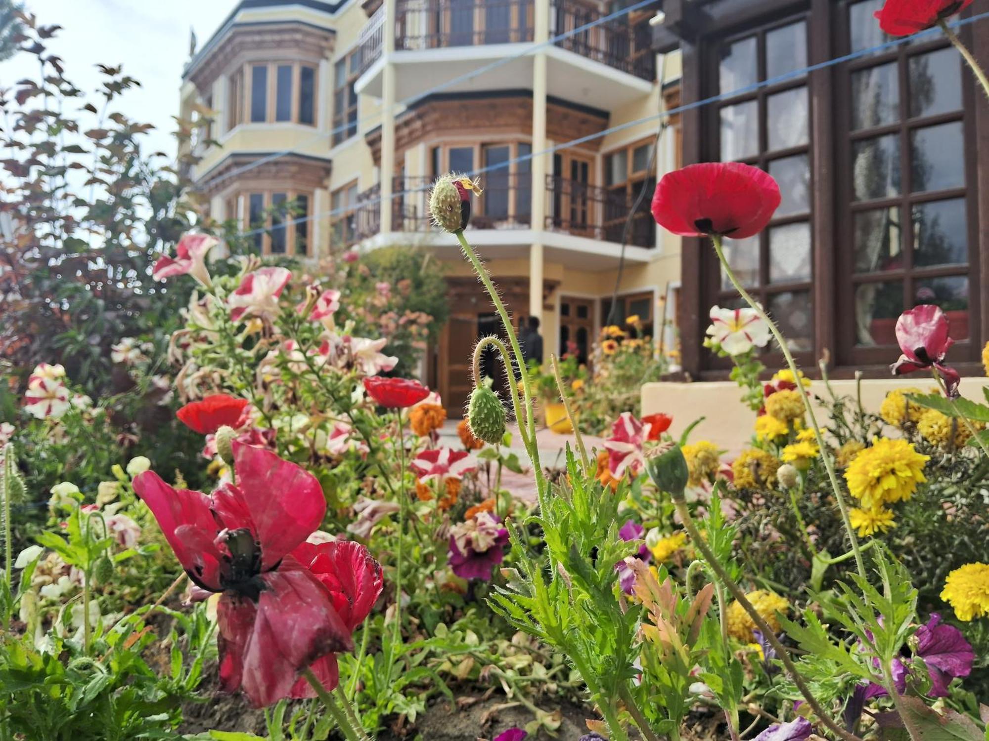 Zaltak Guest House And Hostel Leh Exterior photo