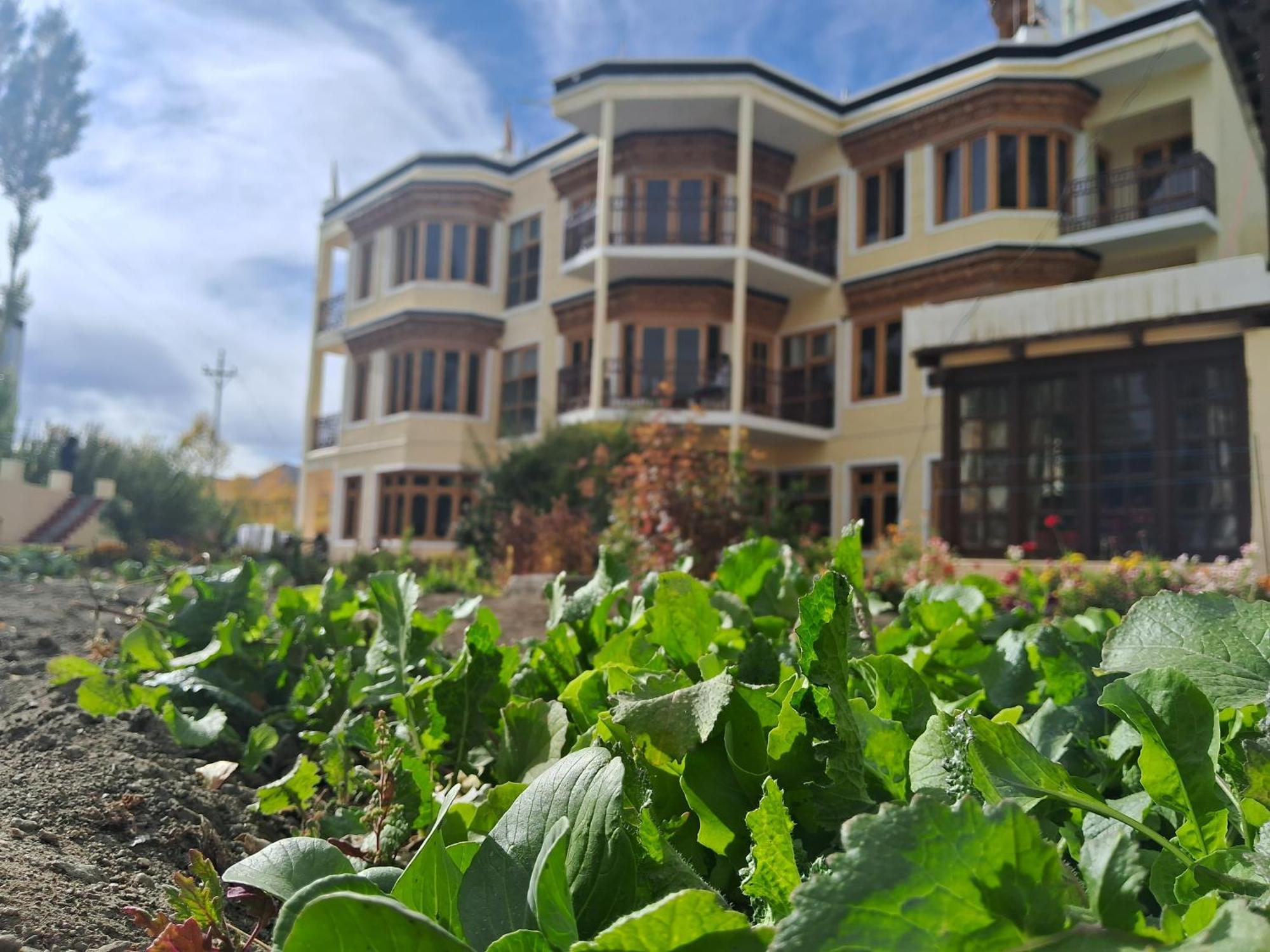 Zaltak Guest House And Hostel Leh Exterior photo