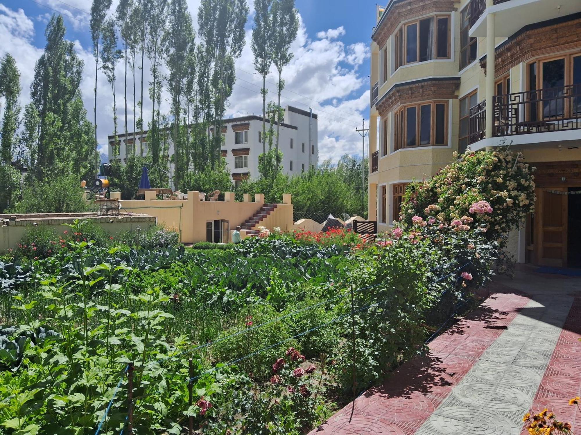 Zaltak Guest House And Hostel Leh Exterior photo