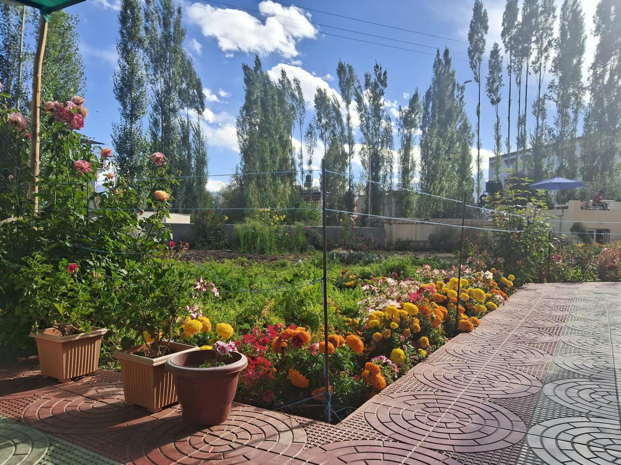 Zaltak Guest House And Hostel Leh Exterior photo